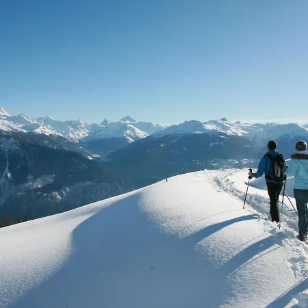 Appartement Les Aiguilles Vertes Rez Inferieur By Interhome