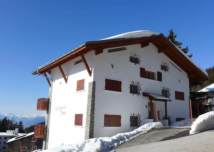 公寓 Les Aiguilles Vertes Rez Inferieur By Interhome