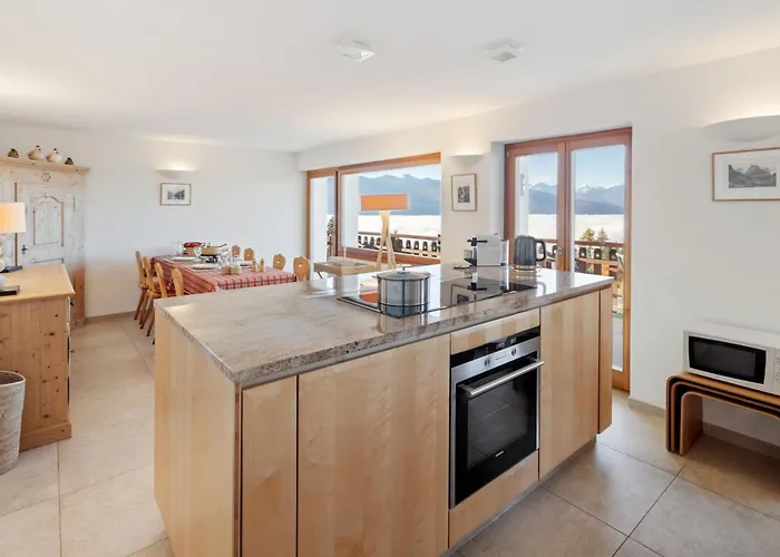 Les Aiguilles Vertes Rez Inferieur By Interhome 公寓 *